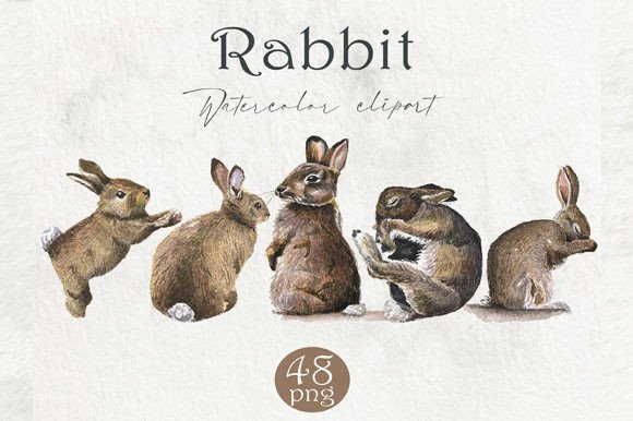 Download Watercolor Rabbit, Forest Animals PNG - Png Collection