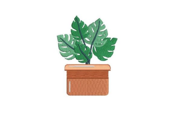 Download Potted Plant - Plant Collection