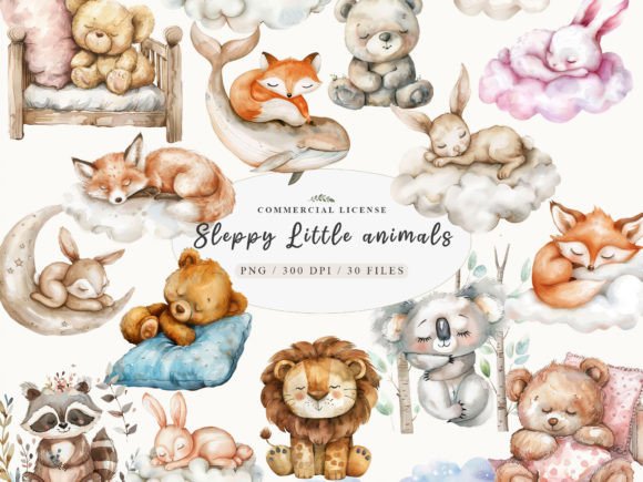 Download Sleeping Baby Animal, Sweet Dreams PNG - Premium Resources